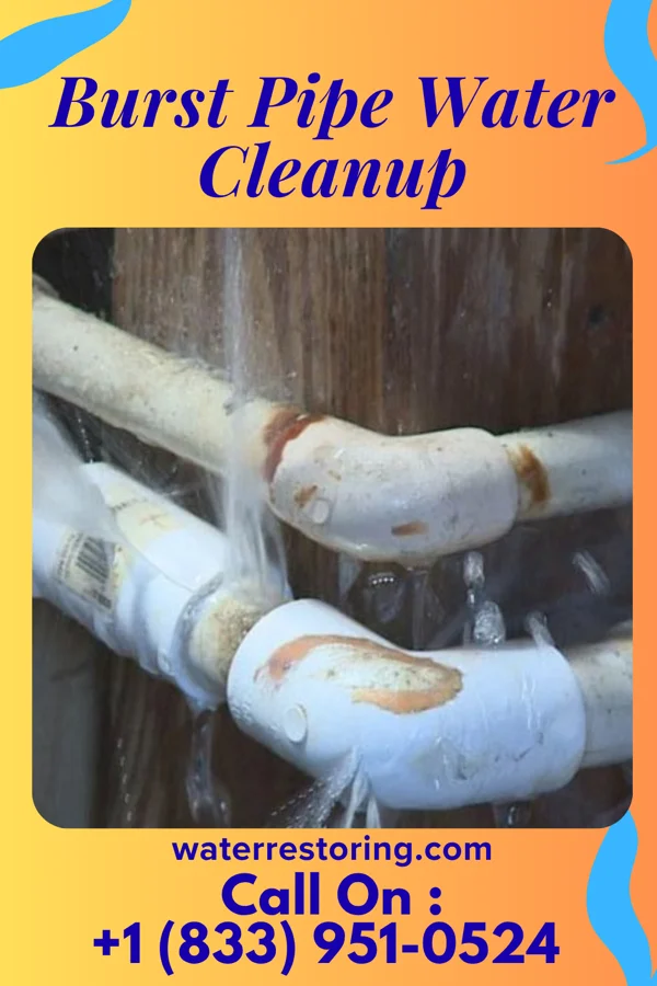 Burst Pipe Water Cleanup in Clarinda, IA