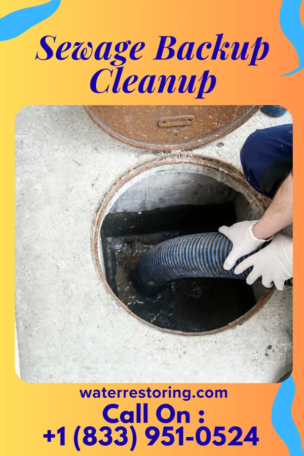 Sewage Backup Cleanup in Clarinda, IA